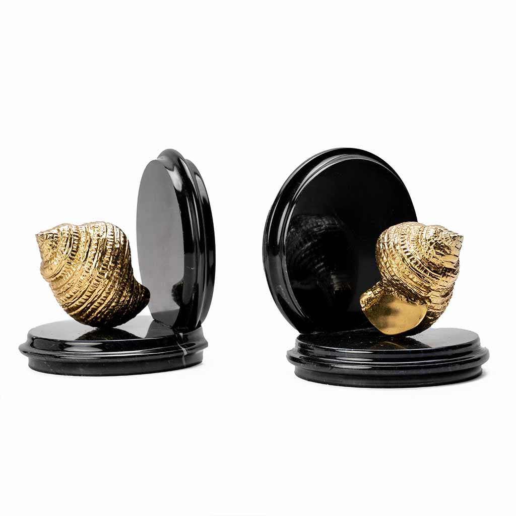 Concha Bookend featuring a seashell-inspired design, perfect for organizing books and enhancing home décor with a coastal theme in UAE.